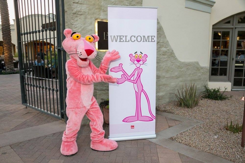 Pink Panther Insulation
