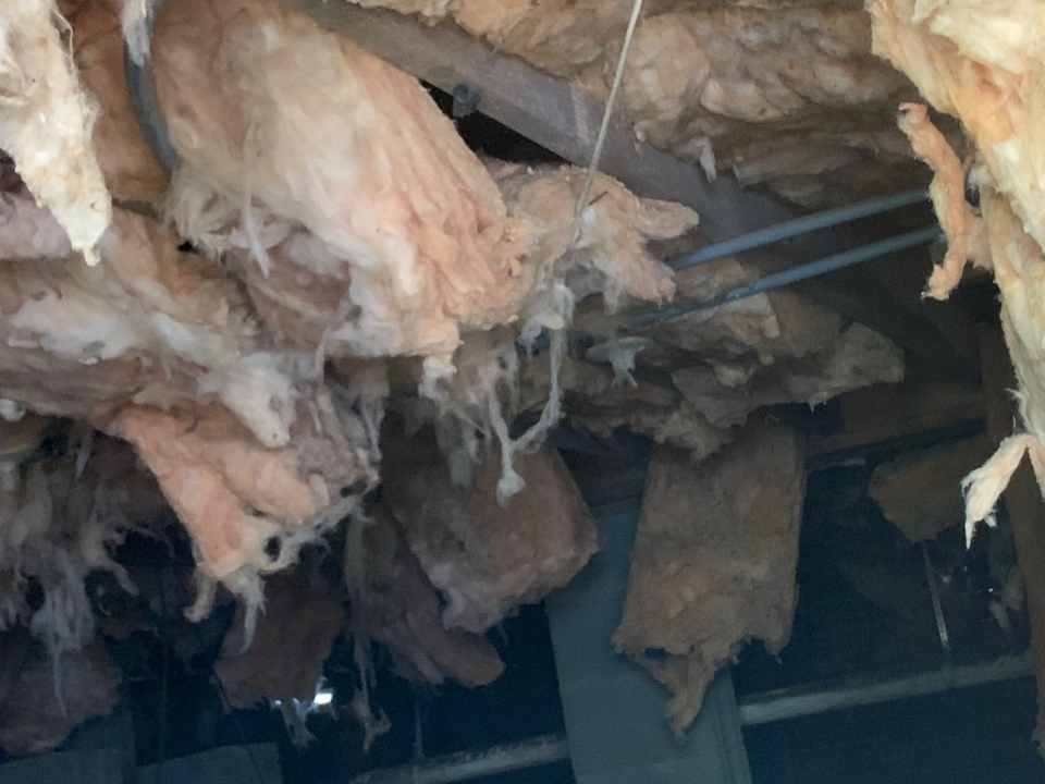 old insulation before removal standard insulating company