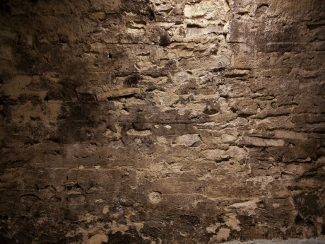 damp wall of cellar or crawlspace