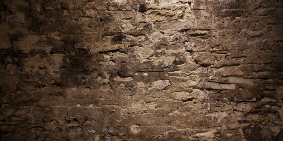 damp wall of cellar or crawlspace