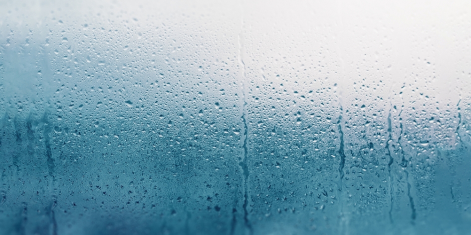 humid home, condensation collecting on window of home humid home, condensation collecting on window of home