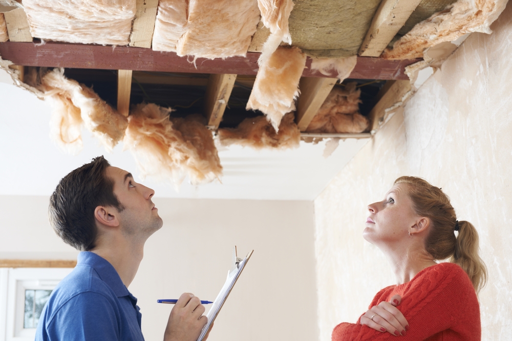 Insulation Removal Standard Insulating Company Charlotte Nc