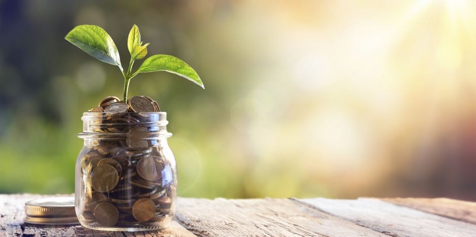 Financing Energy Efficiency Concept with a Plant Growing from Jar of Coins